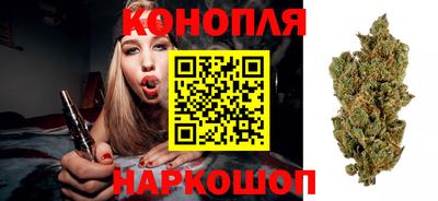 сатива Белореченск