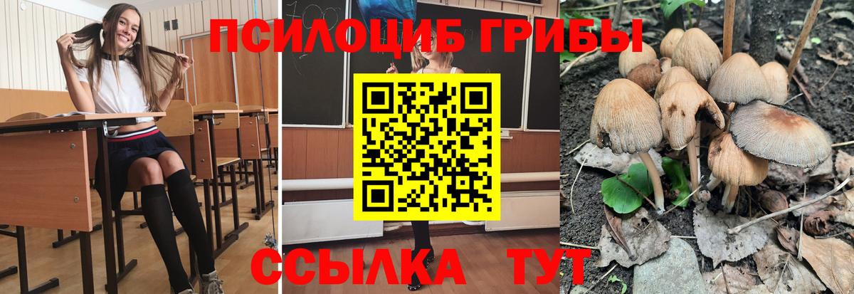 Псилоцибиновые грибы Magic Shrooms  Вход с VPN  Мыски  купить закладку  Галлюциногенные грибы Magic Shrooms 